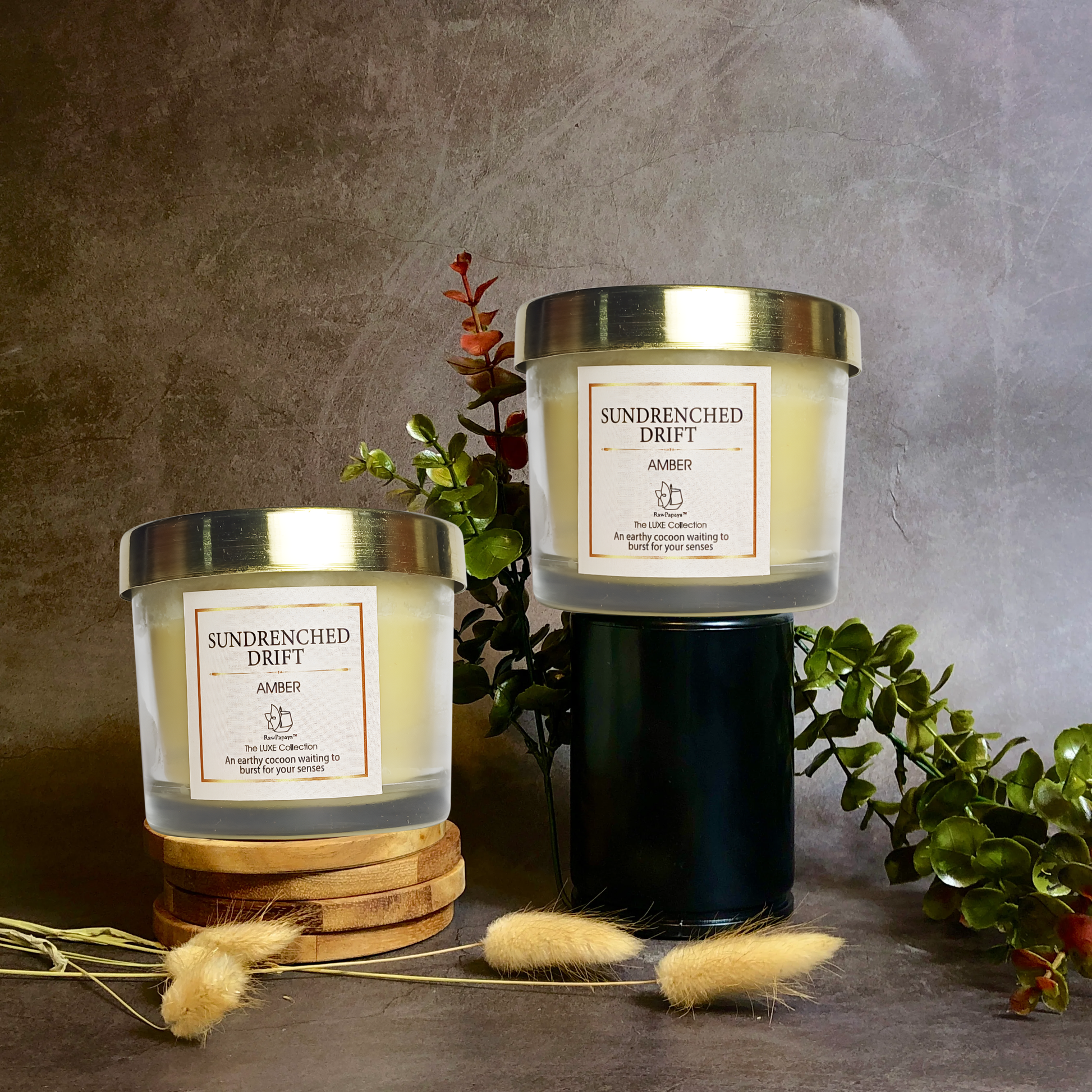 Sundrenched Drift | Amber